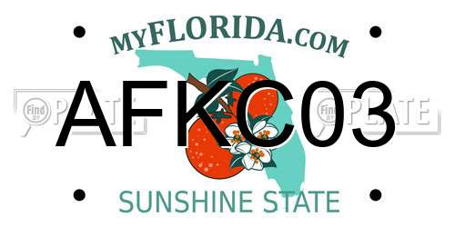 AFKC03 Florida License Plate