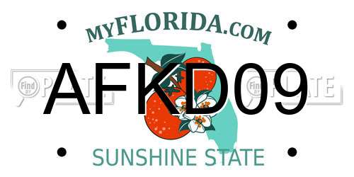AFKD09 Florida License Plate