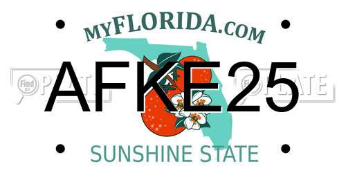 AFKE25 Florida License Plate