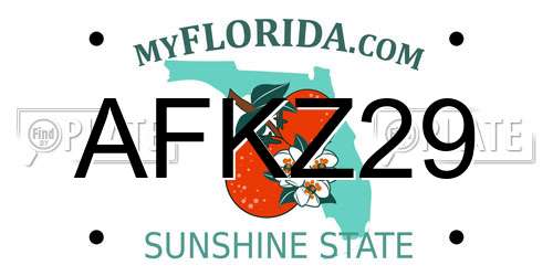 AFKZ29 Florida License Plate