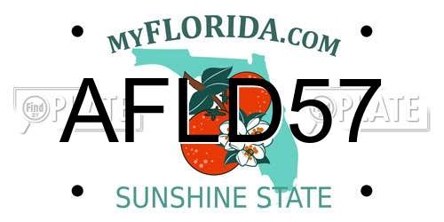 AFLD57 Florida License Plate