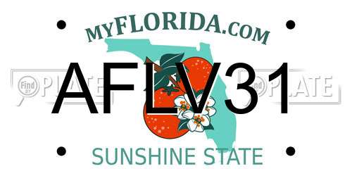 AFLV31 Florida License Plate