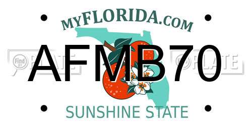 AFMB70 Florida License Plate