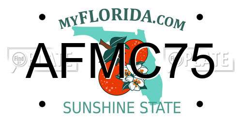 AFMC75 Florida License Plate