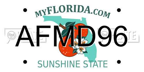 AFMD96 Florida License Plate