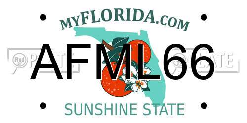 AFML66 Florida License Plate