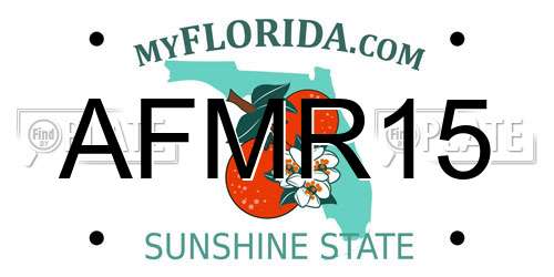 AFMR15 Florida License Plate