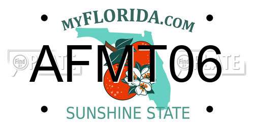 AFMT06 Florida License Plate