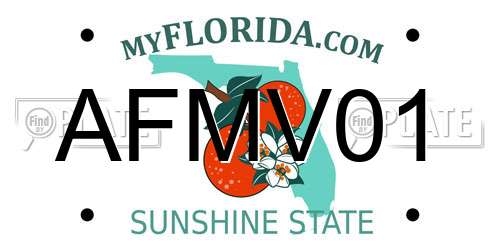 AFMV01 Florida License Plate