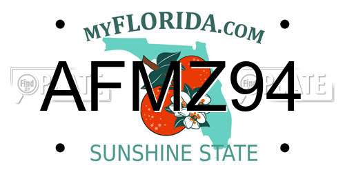 AFMZ94 Florida License Plate