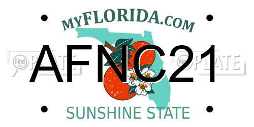 AFNC21 Florida License Plate