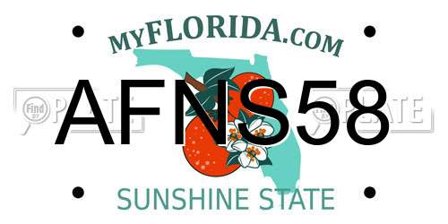 AFNS58 Florida License Plate