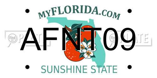 AFNT09 Florida License Plate