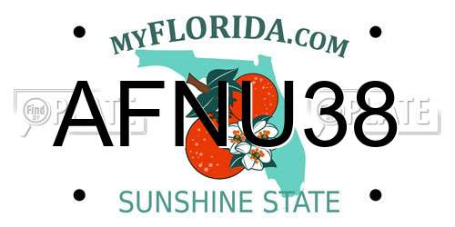 AFNU38 Florida License Plate