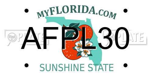 AFPL30 Florida License Plate