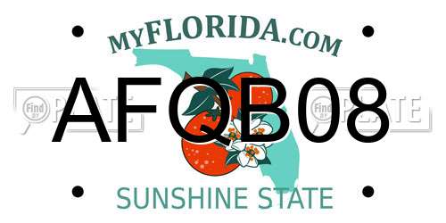 AFQB08 Florida License Plate