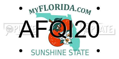 AFQI20 Florida License Plate