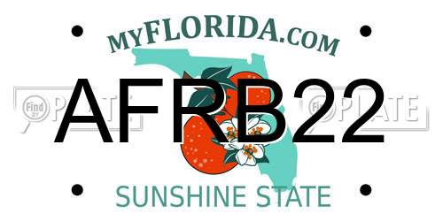 AFRB22 Florida License Plate