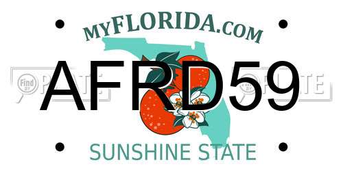 AFRD59 Florida License Plate