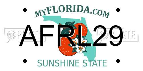 AFRL29 Florida License Plate