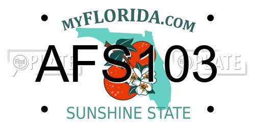 AFS103 Florida License Plate