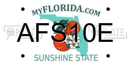 AFS10E Florida License Plate
