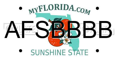 AFSBBBB Florida License Plate