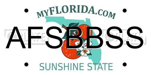 AFSBBSS Florida License Plate