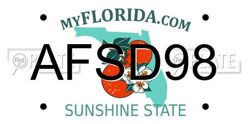 AFSD98 Florida License Plate