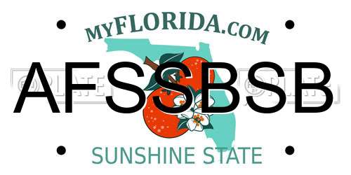 AFSSBSB Florida License Plate