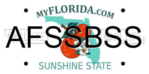 AFSSBSS Florida License Plate