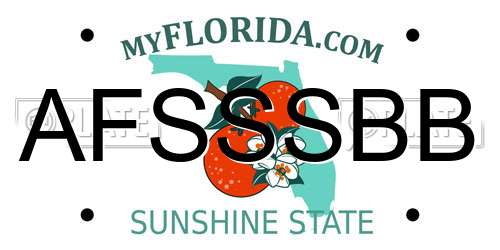 AFSSSBB Florida License Plate