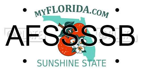 AFSSSSB Florida License Plate