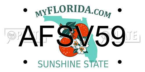 AFSV59 Florida License Plate
