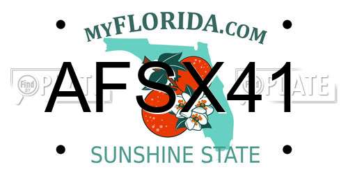 AFSX41 Florida License Plate