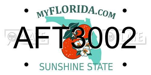 AFT3002 Florida License Plate
