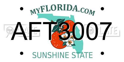 AFT3007 Florida License Plate