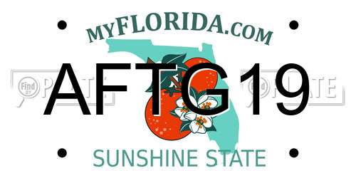 AFTG19 Florida License Plate