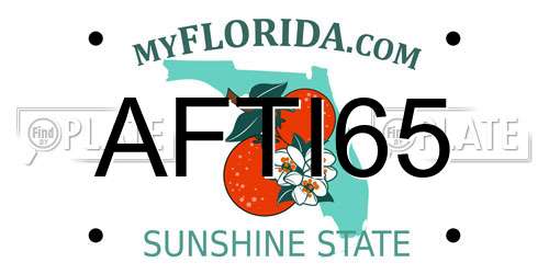 AFTI65 Florida License Plate