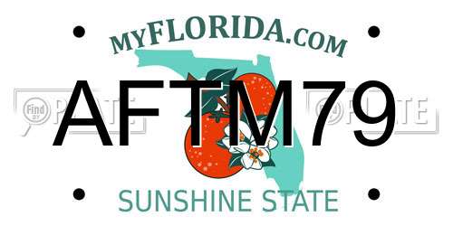 AFTM79 Florida License Plate