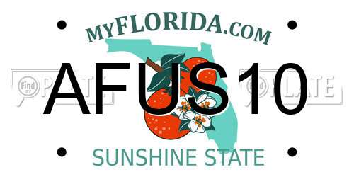 AFUS10 Florida License Plate