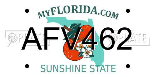 AFV462 Florida License Plate
