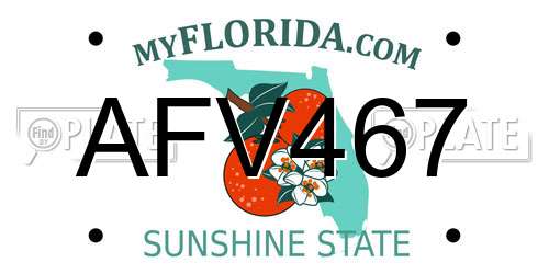 AFV467 Florida License Plate