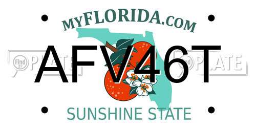 AFV46T Florida License Plate