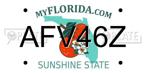 AFV46Z Florida License Plate