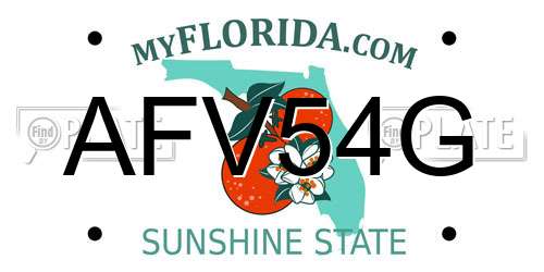 AFV54G Florida License Plate