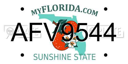 AFV9544 Florida License Plate