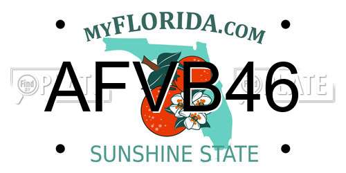 AFVB46 Florida License Plate