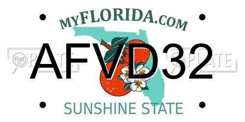 AFVD32 Florida License Plate