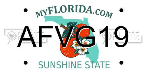 AFVG19 Florida License Plate